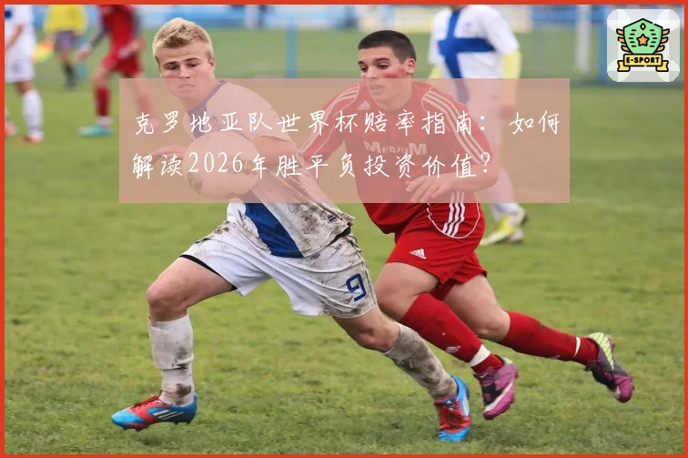 克罗地亚队世界杯赔率指南：如何解读2026年胜平负投资价值？